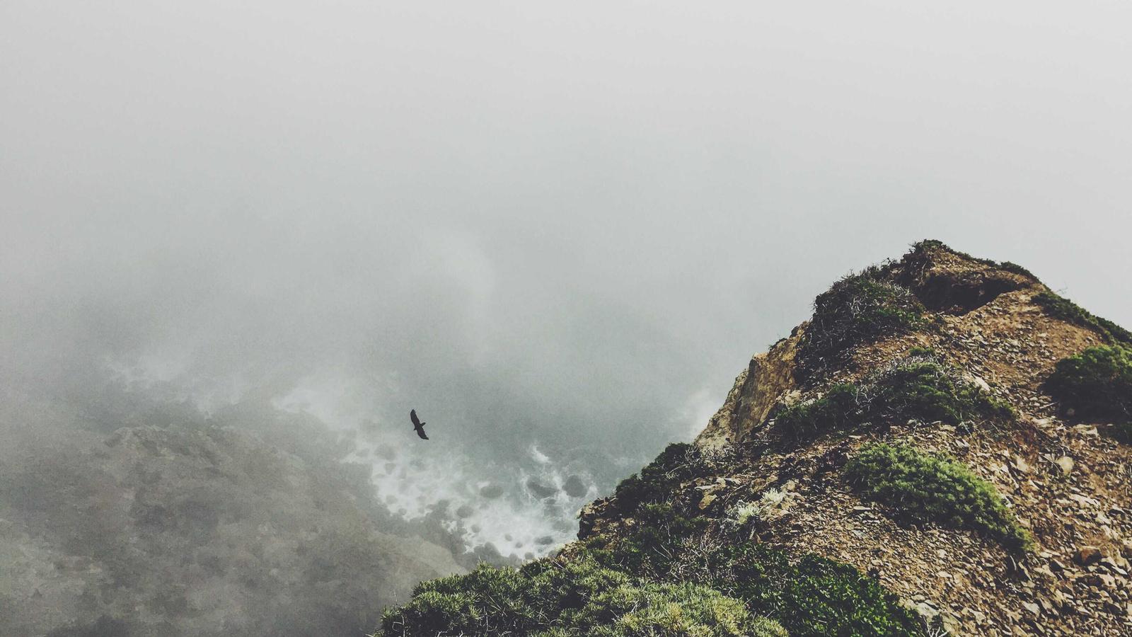 Fourteen Weeks Adrift in the Pacific: What She Ate to Stay Alive